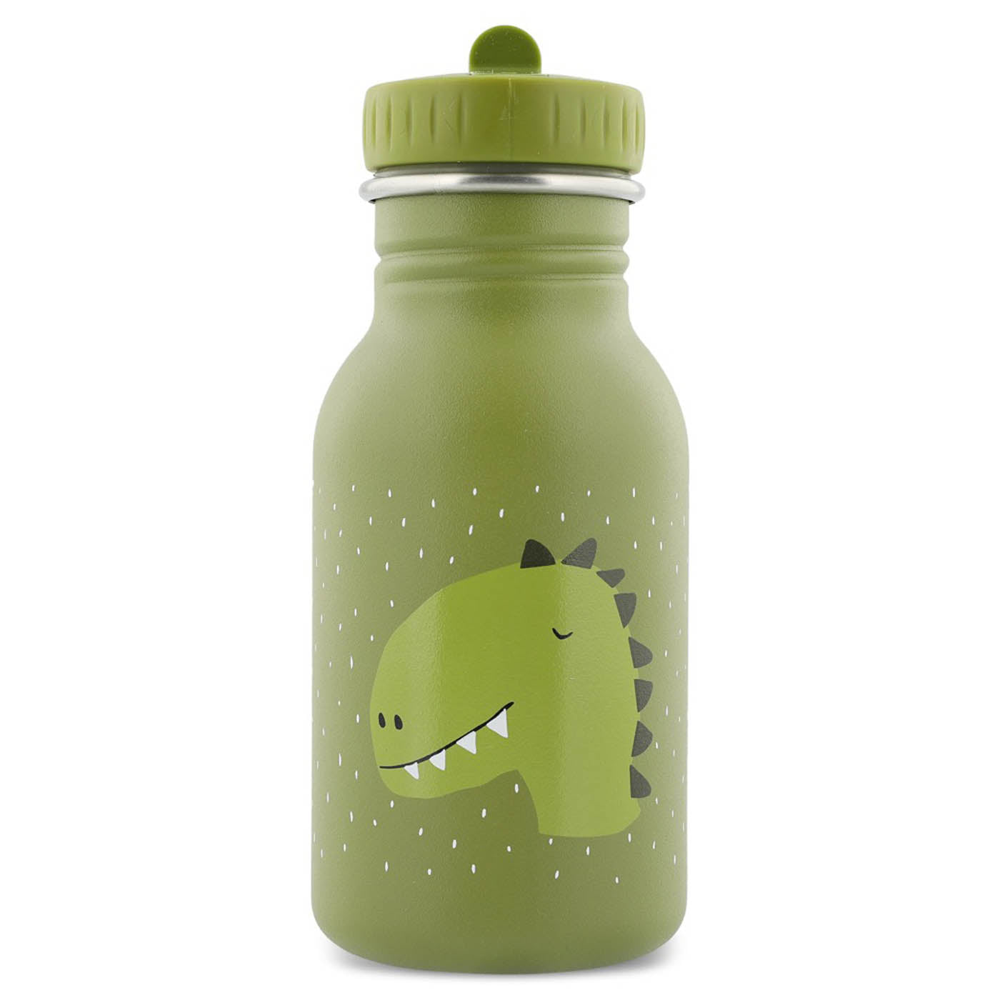 Personalized Stainless steel water bottle Mr Dino