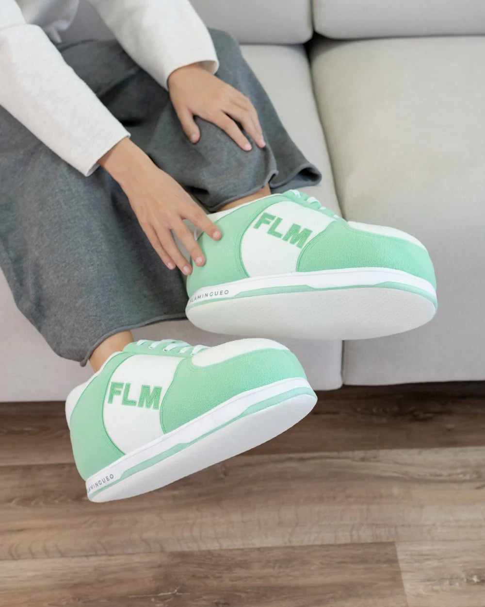 House slippers freesize Dipsy