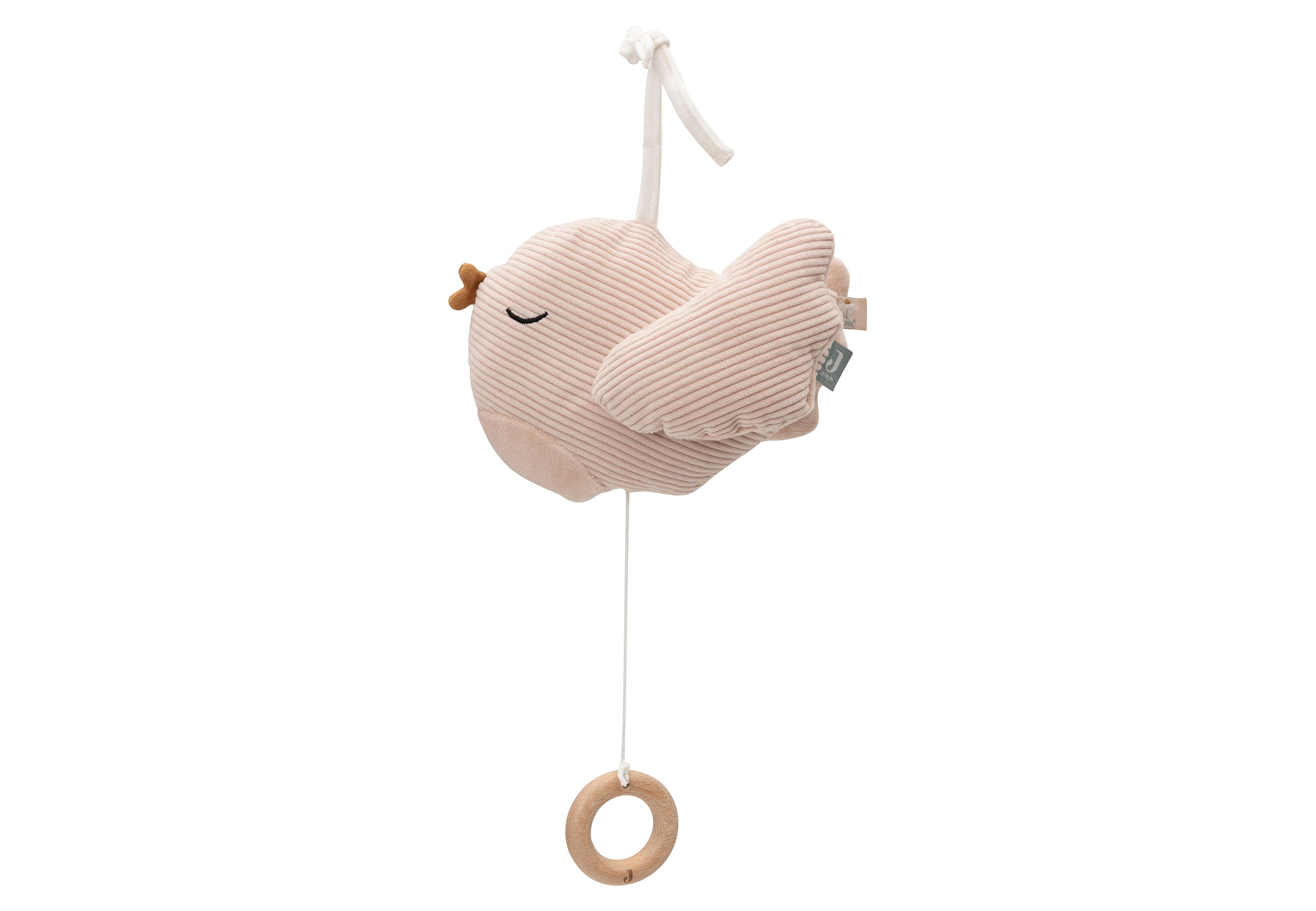 Personalized Musical Plush Toy Lovely Bird